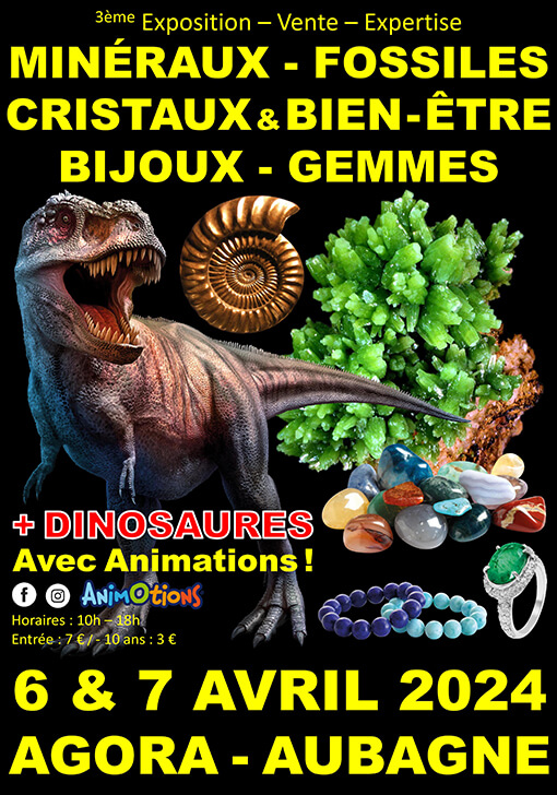 Affiche salon Animotions Orléans 2024