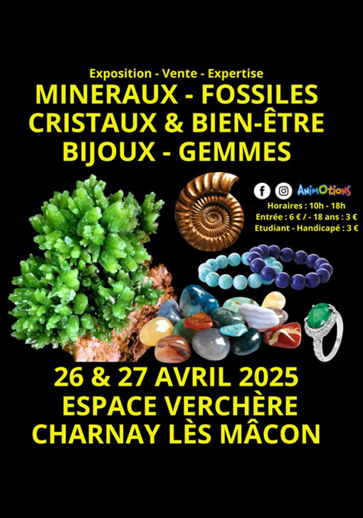 affiche-salon-macon-2025
