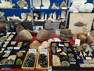 salon-macon-stand-fossiles-2