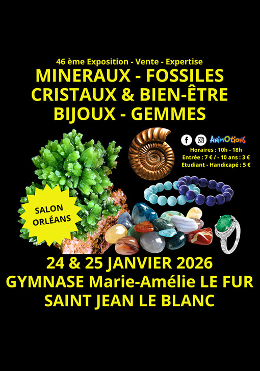 Affiche salon Animotions Nîmes 2025